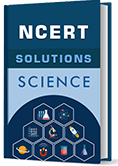 NCERT Textbook Solutions